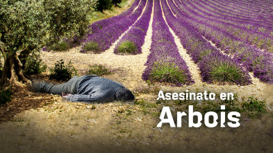 Imagen de Asesinato en Arboix - 4