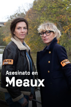 Imagen de Asesinato en Meaux - 3