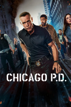 Imagen de Chicago P.D. (T12) - 1