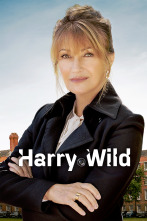 Imagen de Harry Wild (T1) - 1