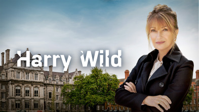 Imagen de Harry Wild (T1) - 2