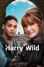 Imagen de Harry Wild (T2) - 1
