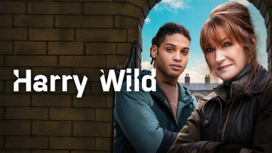 Imagen de Harry Wild (T2) - 2