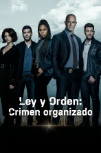Imagen de Ley y orden: Crimen organizado (T3) - 1
