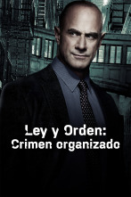 Imagen de Ley y Orden: Crimen organizado (T4) - 1
