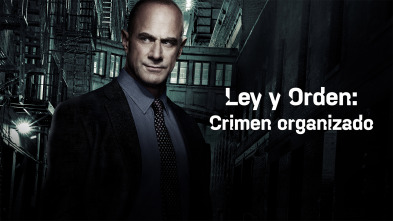 Imagen de Ley y Orden: Crimen organizado (T4) - 2