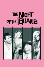 Imagen de La noche de la iguana - 4