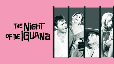 Imagen de La noche de la iguana - 5