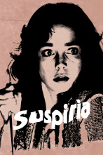 Imagen de Suspiria - 3