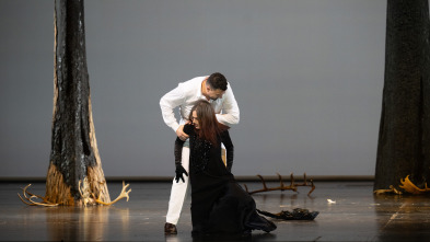 Imagen de Beethoven: Fidelio - Dutch National Opera - 2