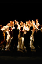 Imagen de Suite Flamenca - Antonio Gades Company - Teatro Real - 1