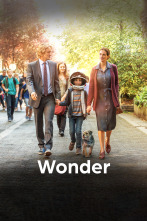 Imagen de Wonder - 1