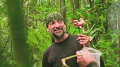 Imagen de Dúo de...: Amazon - 2