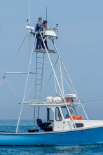 Imagen de Pesca con arpón (T1): Pez para terminar - 1