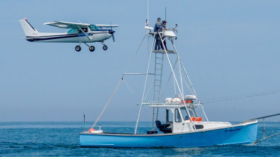 Imagen de Pesca con arpón (T1): Pez para terminar - 2