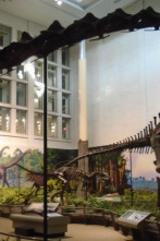 Imagen de Misterios en el museo: El afortunado Lucca y más - 1