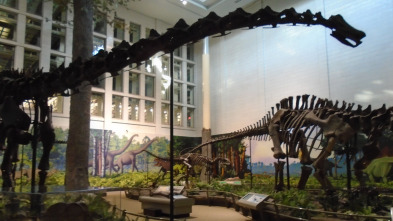 Imagen de Misterios en el museo: El afortunado Lucca y más - 2