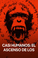 Imagen de Casi humanos: el ascenso de los simios - 1