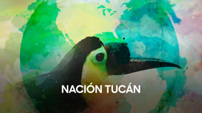 Imagen de Nación tucán - 2