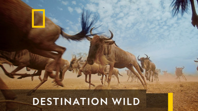 Imagen de Destination Wild  - 2