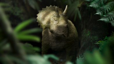 Imagen de Caminando entre...: La huérfana Triceratops - 1