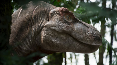 Imagen de Caminando entre...: La huérfana Triceratops - 4