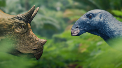 Imagen de Caminando entre...: La huérfana Triceratops - 5