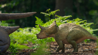 Imagen de Caminando entre...: La huérfana Triceratops - 6