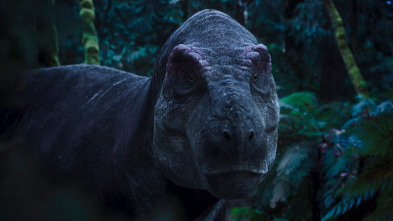 Imagen de Caminando entre...: La huérfana Triceratops - 7