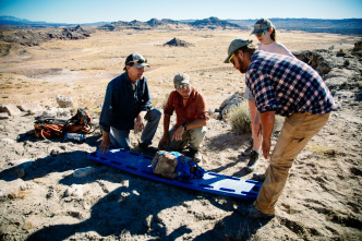 Imagen de Caminando entre...: Los hermanos Utahraptor - 10