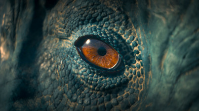 Imagen de Caminando entre...: La manada de Albertosaurus - 6