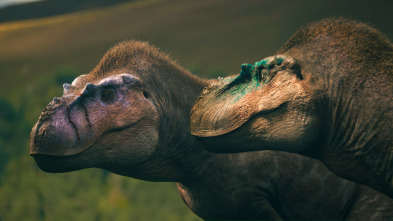 Imagen de Caminando entre...: La manada de Albertosaurus - 8