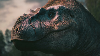 Imagen de Caminando entre...: La manada de Albertosaurus - 10