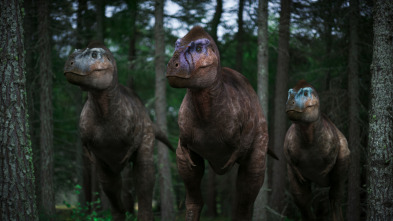 Imagen de Caminando entre...: La manada de Albertosaurus - 11