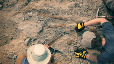 Imagen de Caminando entre...: La manada de Albertosaurus - 13