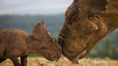 Imagen de Caminando entre...: El viaje al norte del Pachyrhinosaurus - 4