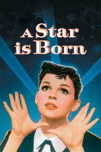Imagen de Ha nacido una estrella - 3