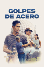 Imagen de Golpes de acero - 1