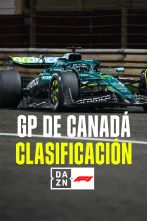 Imagen de Mundial F1 - GP... (2025): Clasificación - 1