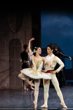 Imagen de José Martinez: Don Quijote - Gran Teatro de Burdeos - 1