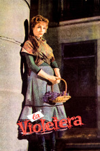 Imagen de La violetera - 1