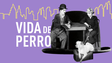 Imagen de Vida de perro - 2