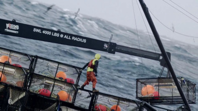Imagen de Pesca radical (T14): Cicatrices de guerra - 2