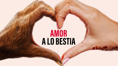 Imagen de Amor a lo bestia - 4