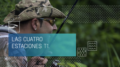 Imagen de Las cuatro estaciones (T1) - 2