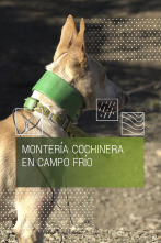 Imagen de Montería cochinera en Campo Frío - 1