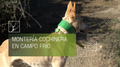 Imagen de Montería cochinera en Campo Frío - 2