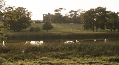 Imagen de Wilding, el regreso de la naturaleza - 6