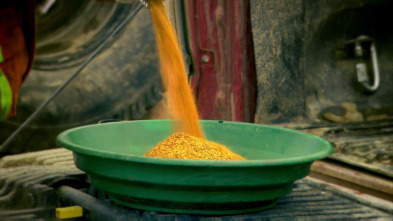 Imagen de La fiebre del oro (T6): La dura verdad del oro - 2