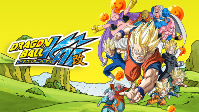 Imagen de Dragon Ball Z Kai (T2): Ep.14 ¡Videl vapuleada! ¡La furia de Gohan llega a su límite! - 2